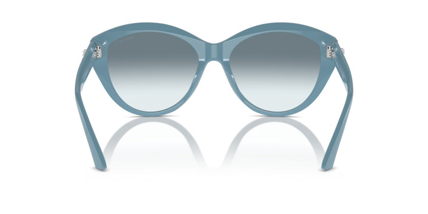 Sunglasses Jimmy Choo Magnified JC5007 501219 55 17