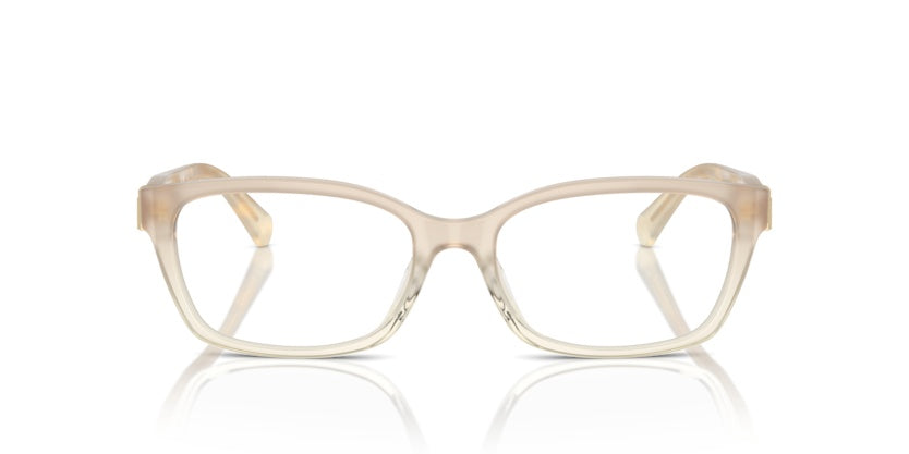 Gafas Graduadas Ralph Lauren RA6244 6184 53 17