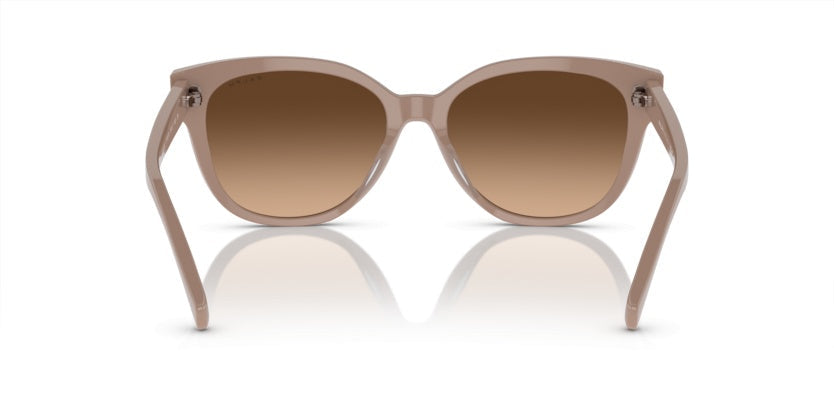 Gafas de Sol Ralph Lauren RA5305U 611674 56 17