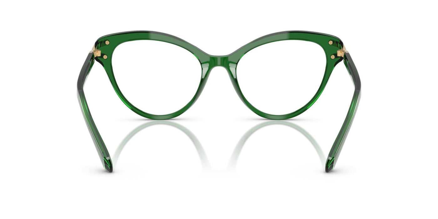 Gafas Graduadas Swarovski SK2030 1064 55 18
