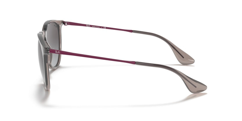 Gafas de Sol Ray-Ban Erika RB4171 65138G 54 18