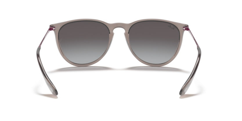 Gafas de Sol Ray-Ban Erika RB4171 65138G 54 18