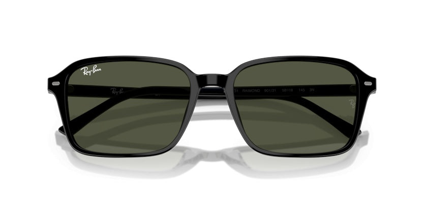 Gafas de Sol Ray-Ban Raimond RB2231 901/31 58 18