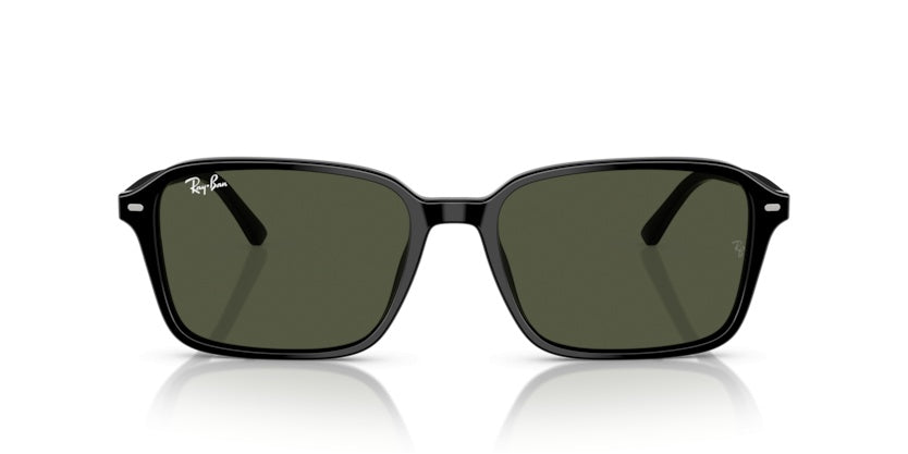 Gafas de Sol Ray-Ban Raimond RB2231 901/31 58 18