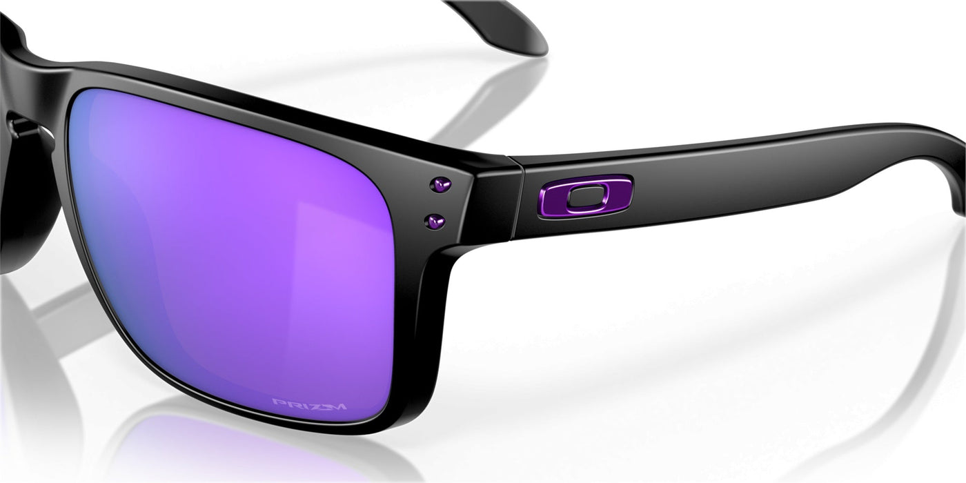 Gafas de Sol Oakley Holbrook XL OO9417 20 59 18