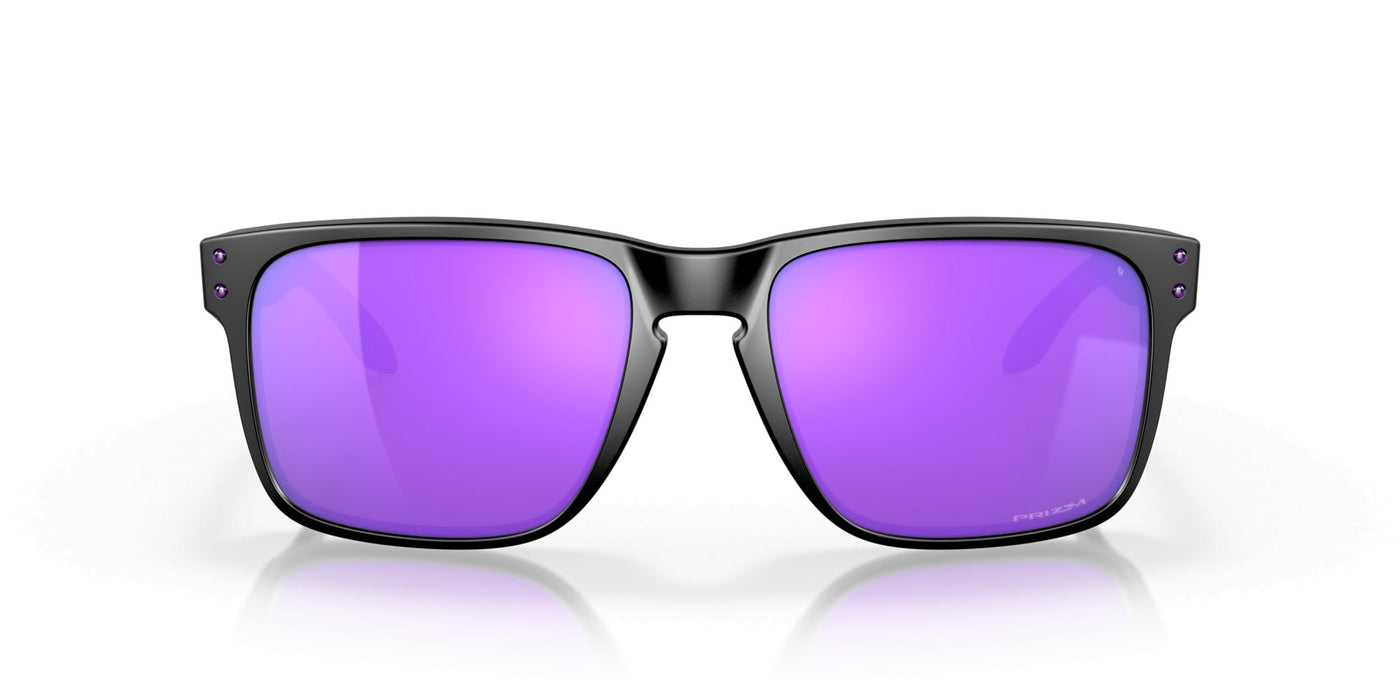 Gafas de Sol Oakley Holbrook XL OO9417 20 59 18