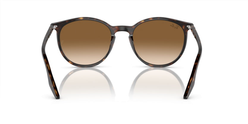 Gafas de Sol Ray-Ban RB2204 902/51 51 20