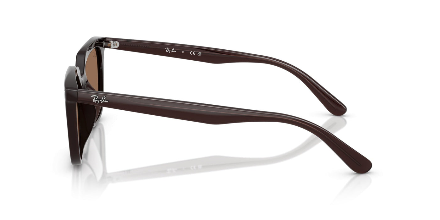 Gafas de Sol Ray-Ban RB4439D 623173 54 21