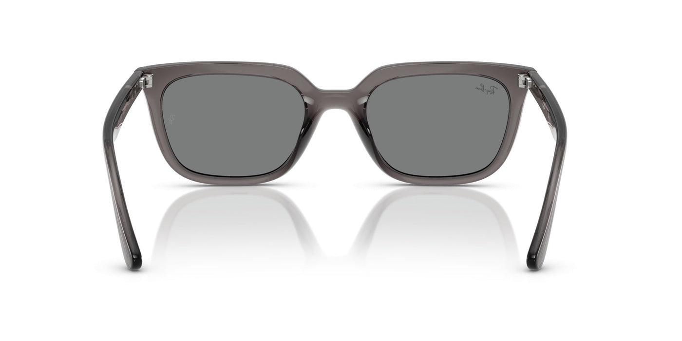 Gafas de Sol Ray-Ban RB4439D 667587 54 21