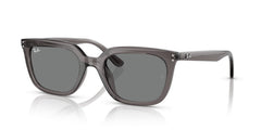 Gafas de Sol Ray-Ban RB4439D 667587 54 21