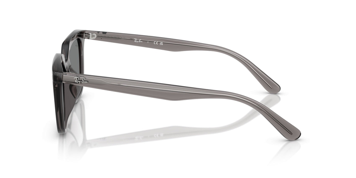 Gafas de Sol Ray-Ban RB4439D 667587 54 21