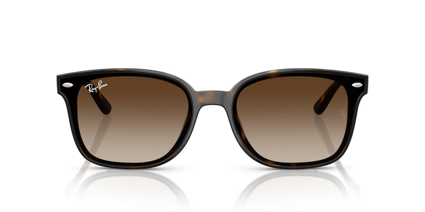 Gafas de Sol Ray-Ban RB4461D 710/13 64 17