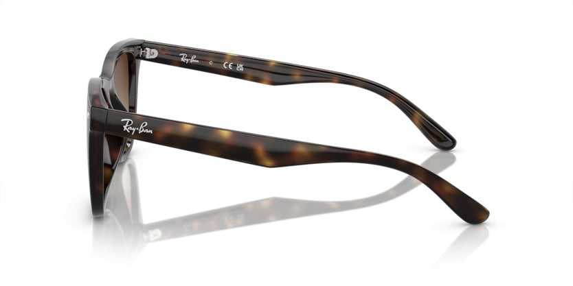 Gafas de Sol Ray-Ban RB4420 710/13 65 18