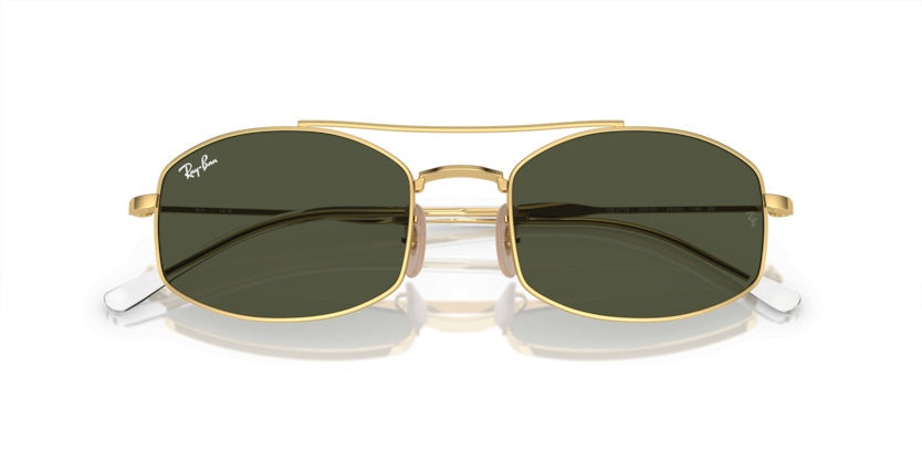 Gafas de Sol Ray-Ban RB3719 001/31 54 20