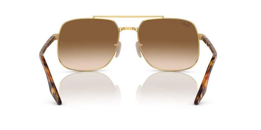 Gafas de Sol Ray-Ban RB3699 001/51 56 18