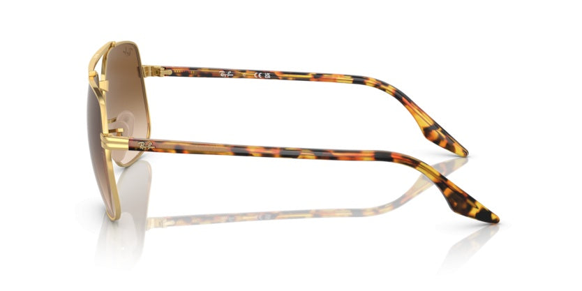 Gafas de Sol Ray-Ban RB3699 001/51 56 18