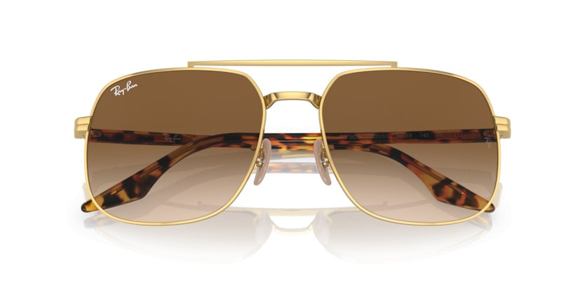 Gafas de Sol Ray-Ban RB3699 001/51 56 18