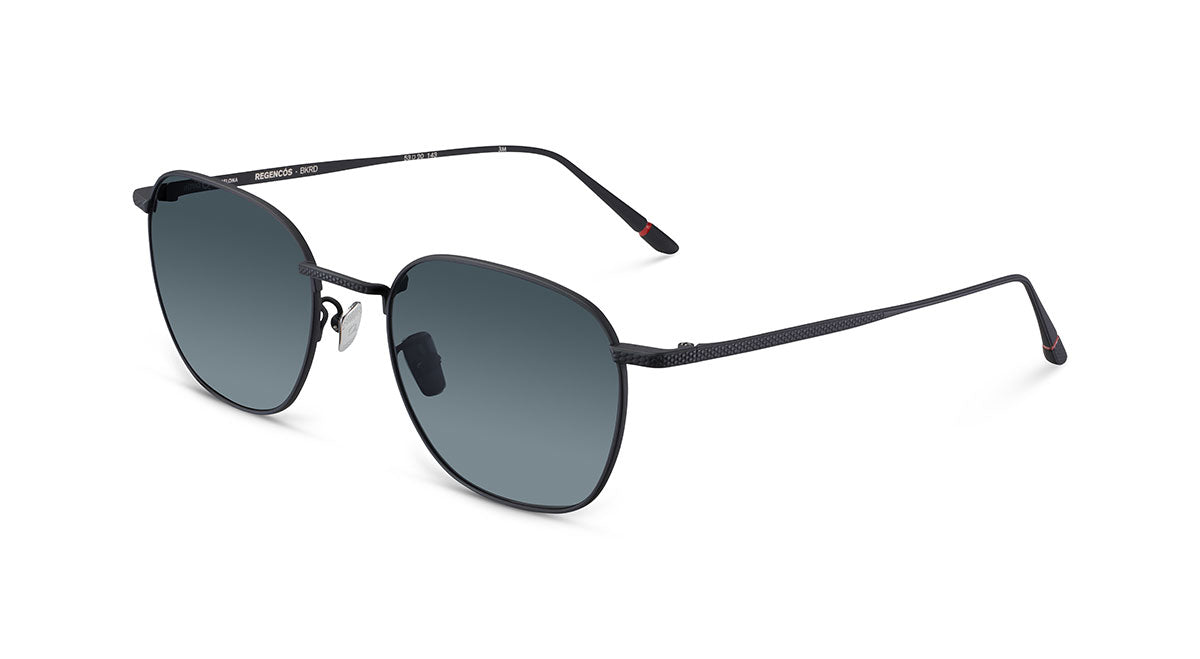 Gafas de Sol Etnia REGENCOS