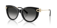 Gafas de Sol Tiffany&Co TF4232 80013C 53 19