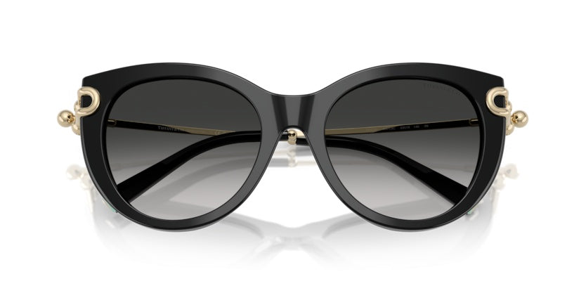 Gafas de Sol Tiffany&Co TF4232 80013C 53 19