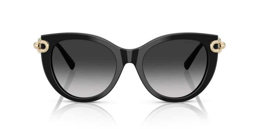 Gafas de Sol Tiffany&Co TF4232 80013C 53 19