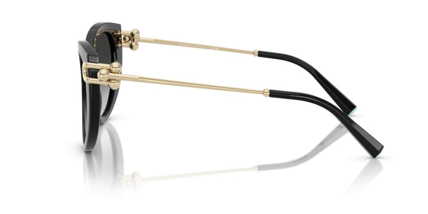 Gafas de Sol Tiffany&Co TF4232 80013C 53 19