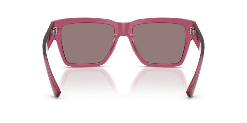 Gafas de Sol Dolce Gabbana DG4431 32117N 55 18