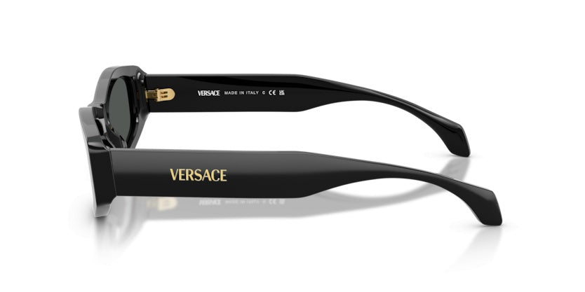 Gafas de Sol Versace VE4487 GB1/87 54 19