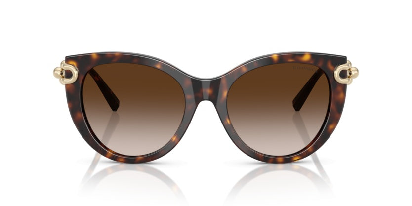 Gafas de Sol Tiffany&Co TF4232 80153B 53 19