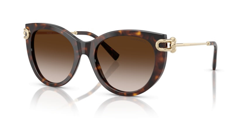Gafas de Sol Tiffany&Co TF4232 80153B 53 19