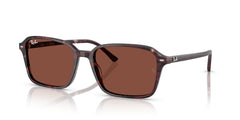 Gafas de Sol Ray-Ban Raimond RB2231 1416C5 56 18