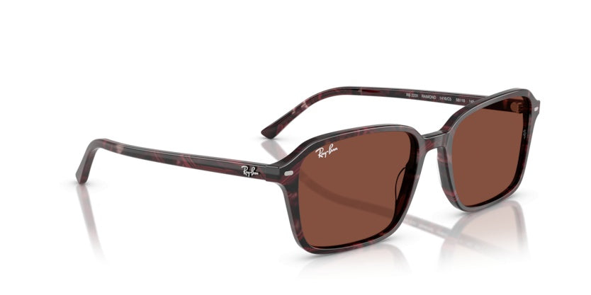Gafas de Sol Ray-Ban Raimond RB2231 1416C5 56 18
