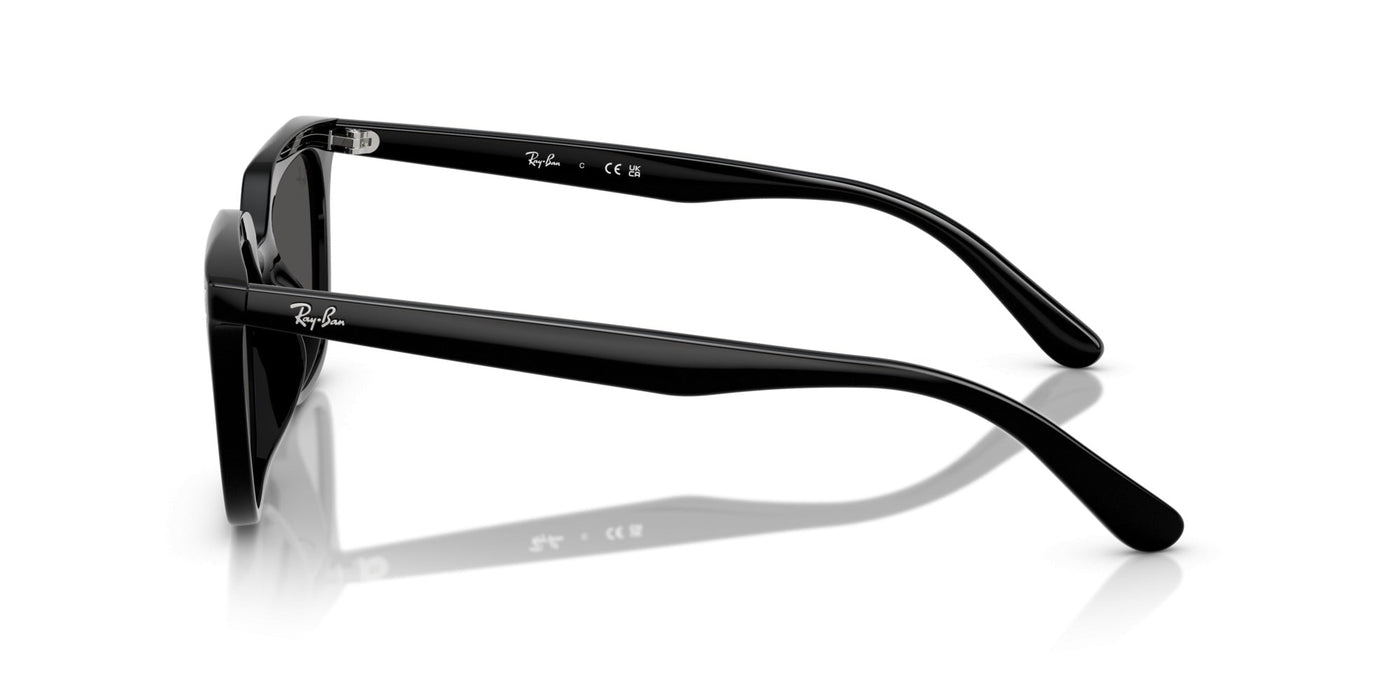 Gafas de Sol Ray-Ban RB4439D 901/87 54 21