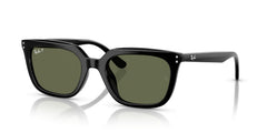 Gafas de Sol Ray-Ban RB4439D 901/9A 54 21