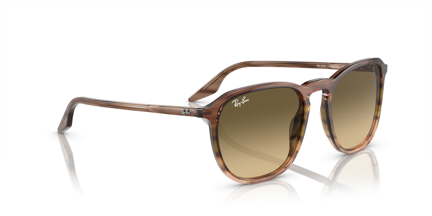 Gafas de Sol Ray-Ban RB2203 13920A 55 20