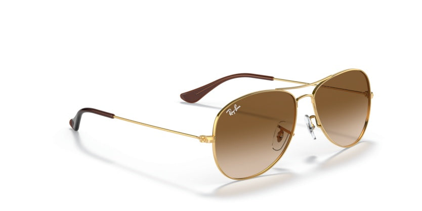 Gafas de Sol Ray-Ban Cockpit RB3362 001/51 56 14
