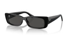 Gafas de Sol Ray-Ban Teru RB4425 667787 54 17