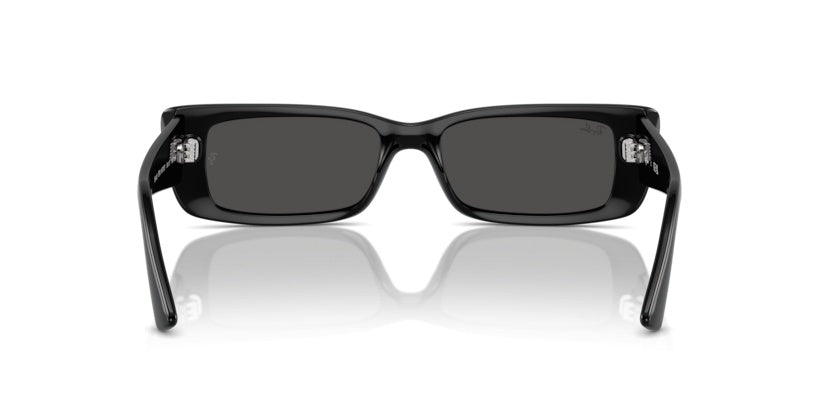 Gafas de Sol Ray-Ban Teru RB4425 667787 54 17