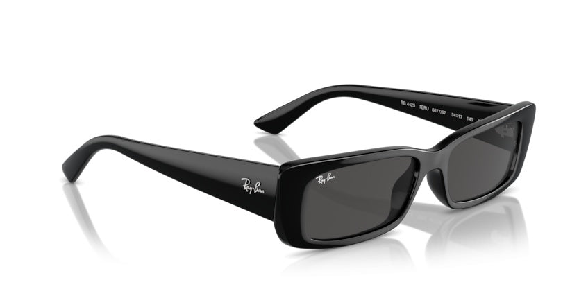 Gafas de Sol Ray-Ban Teru RB4425 667787 54 17