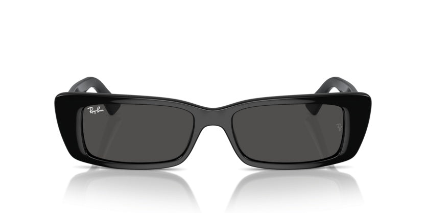 Gafas de Sol Ray-Ban Teru RB4425 667787 54 17