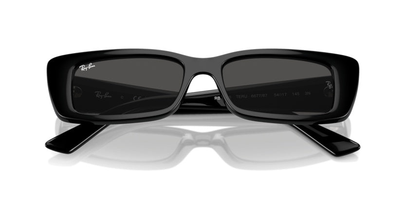 Gafas de Sol Ray-Ban Teru RB4425 667787 54 17