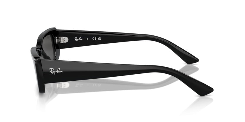Gafas de Sol Ray-Ban Teru RB4425 667787 54 17