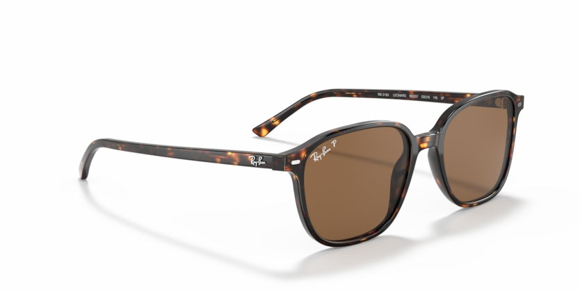 Gafas de Sol Ray-Ban Leonard RB2193 902/57 53 18