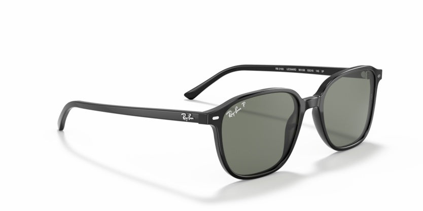 Gafas de Sol Ray-Ban Leonard RB2193 901/58 53 18