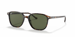 Gafas de Sol Ray-Ban Leonard RB2193 902/31 53 18