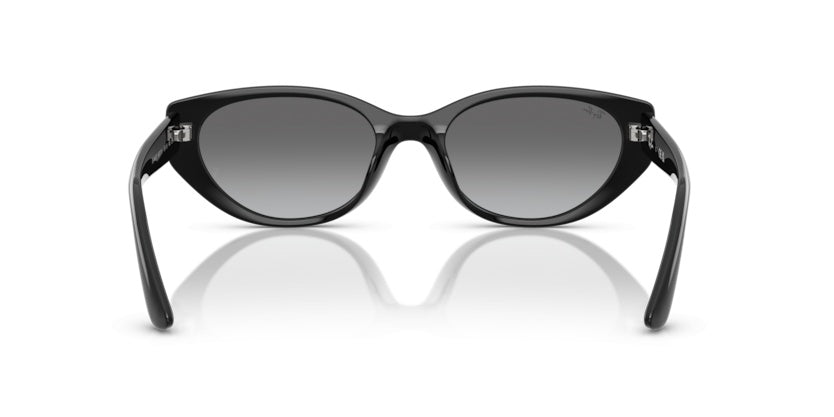 Gafas de Sol Ray-Ban RB4457D 667711 55 19