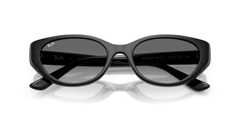 Gafas de Sol Ray-Ban RB4457D 667711 55 19