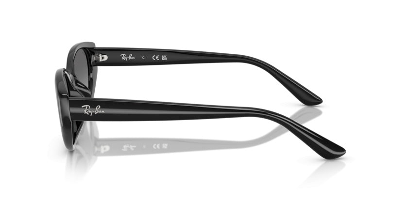 Gafas de Sol Ray-Ban RB4457D 667711 55 19