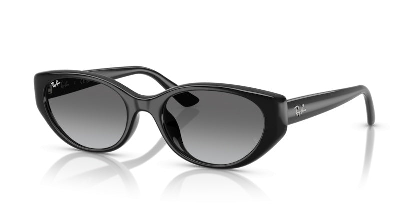 Gafas de Sol Ray-Ban RB4457D 667711 55 19