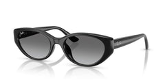 Gafas de Sol Ray-Ban RB4457D 667711 55 19